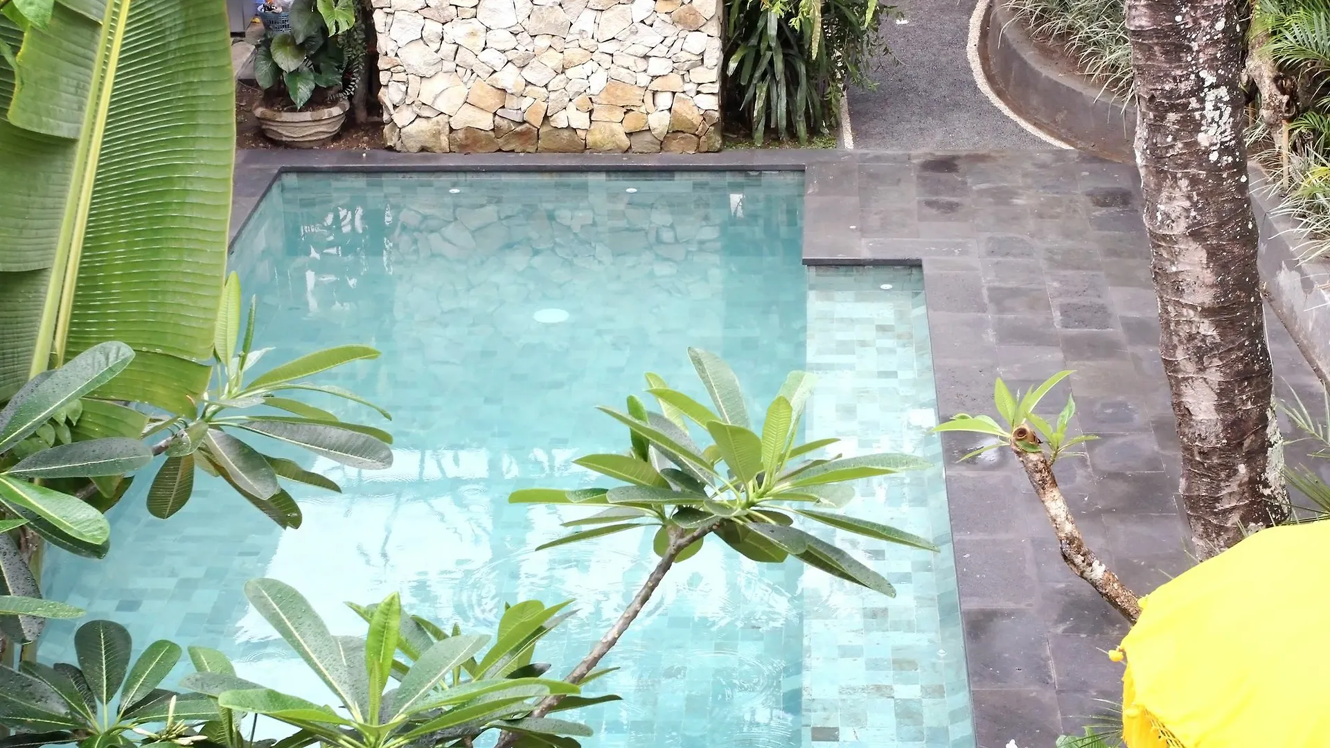 Ons Bed & Breakfast Ubud  Ubud (Bali)